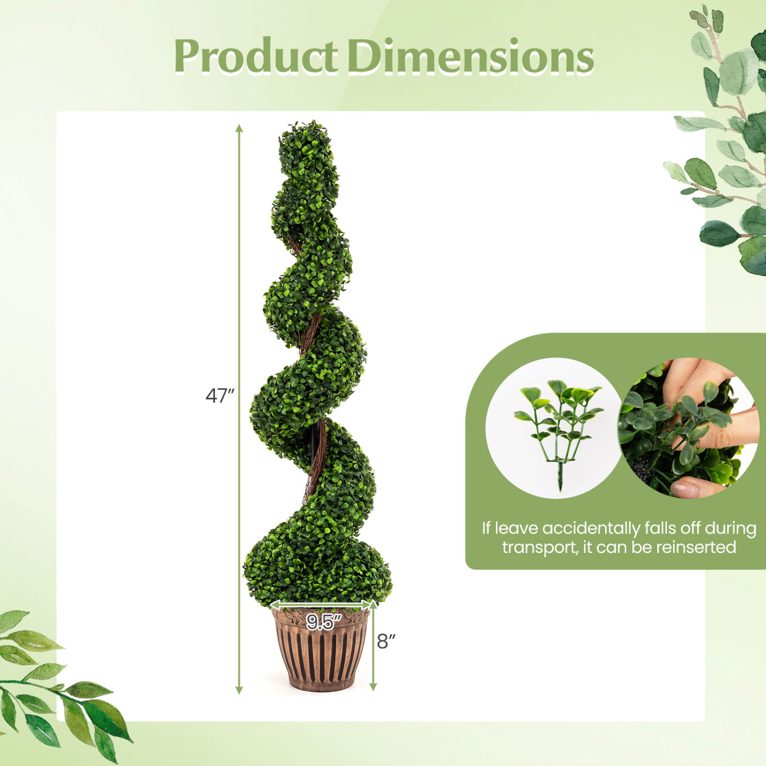 Product Dimensions