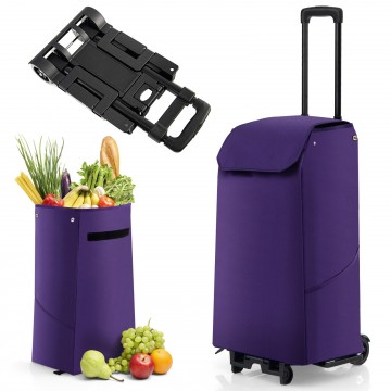 Folding Shopping Cart with 38 L Removable Waterproof Bag