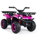 [24V] ♦Bestsellers: 2 Motors ATV for 30° Climbing!