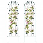 2 Pack 71 x 20 Inches