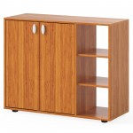 with Doors with Adjustable Open Shelves