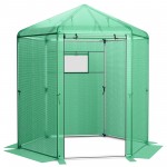Hexagonal Greenhouse