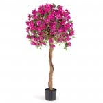 Azalea Tree