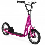 12 Inch with Carbon Steel Frame