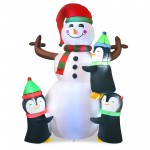 6 Feet with 3 Penguins