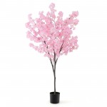 Cherry Blossom Tree