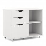 3-Drawer with Adjustable Shelf