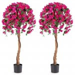 [Set of 2] Azalea Tree