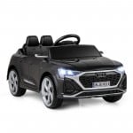 1-Seater Audi