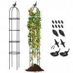 2-Pack Garden Obelisk Trellis