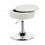 Adjustable 360° Swivel Storage Vanity Stool