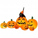 7 Pumpkins with Cat