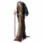 Witch with Crutch