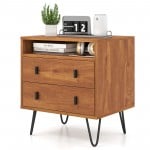 Mid Century Modern 2-Drawer Nightstand