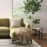 Living Room Sets