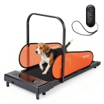 Pet Treadmill for Small & Medium Dogs