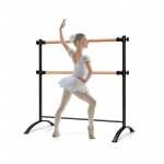 Double Ballet Barre