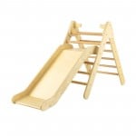 2-in-1 with Slide