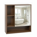 1 Mirrored Door with Side Compartments