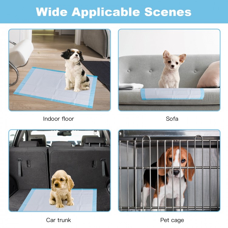 Pee pad for pets, 24 x 24 inches, made of soft non-woven fabric, ideal for indoor floors, sofas, and car trunks.