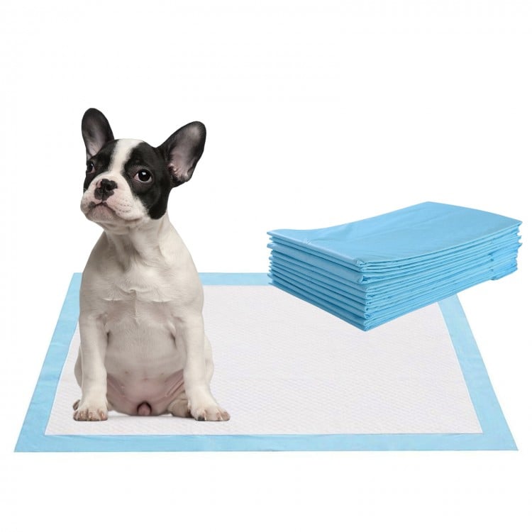 Pet wee pee pad with a French Bulldog, featuring soft non-woven fabric and advanced absorbent paper for training.