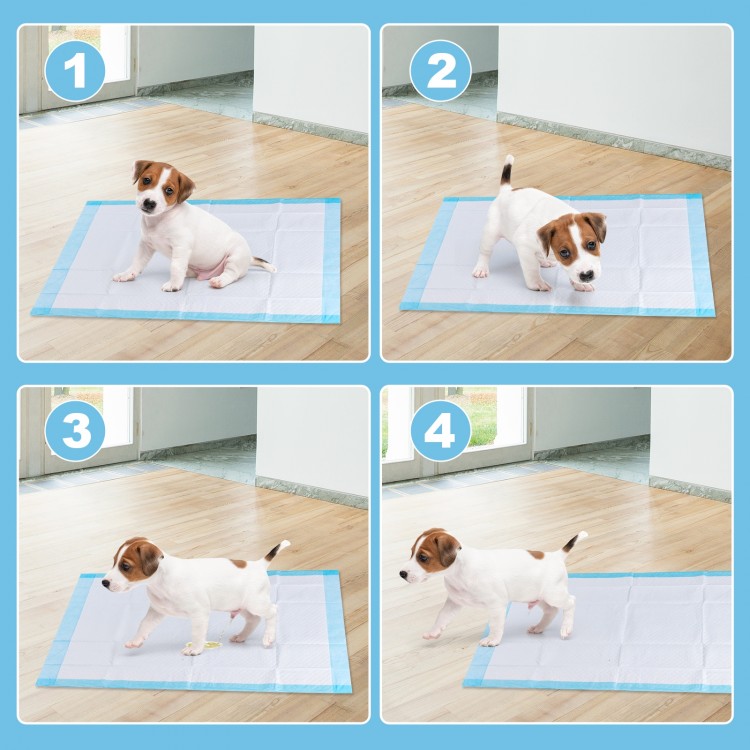 24 x 24 inch disposable pet wee pee pads in use, designed for training and protecting floors from pet excreta.