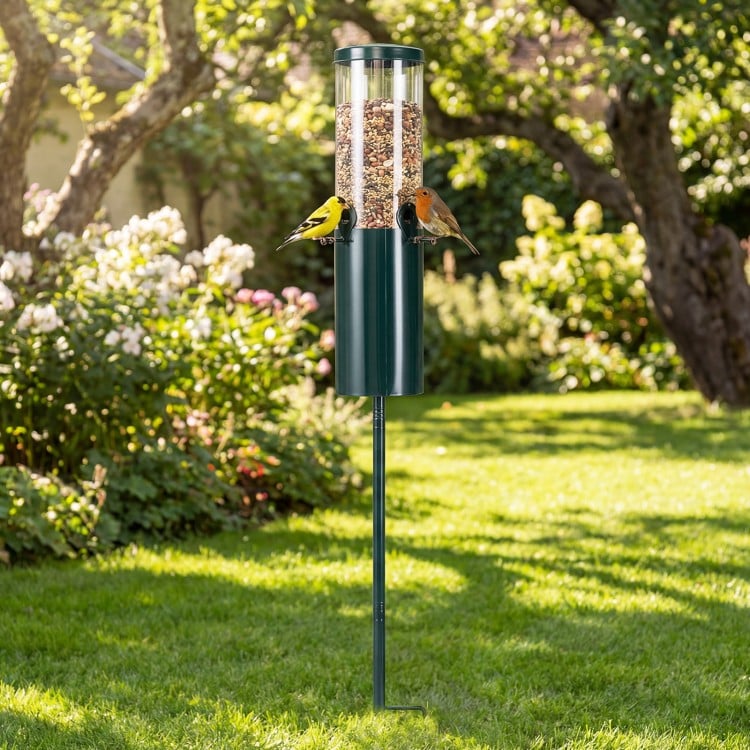 Bird Supplies