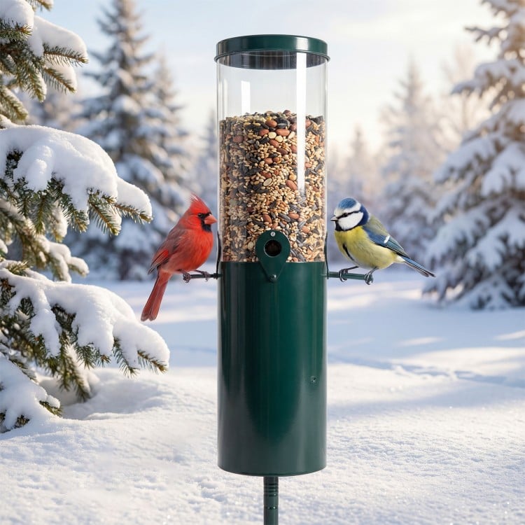 Large squirrel-proof bird feeder with 10 lbs capacity, featuring perches, in a snowy winter setting with birds.