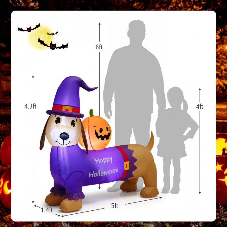 5-foot inflatable Halloween dachshund dog with pumpkin, featuring LED lights, perfect for outdoor party decoration.