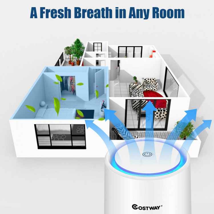 Mini Ionic 3-in-1 HEPA air purifier with night light, featuring efficient filtration and quiet operation for cleaner.