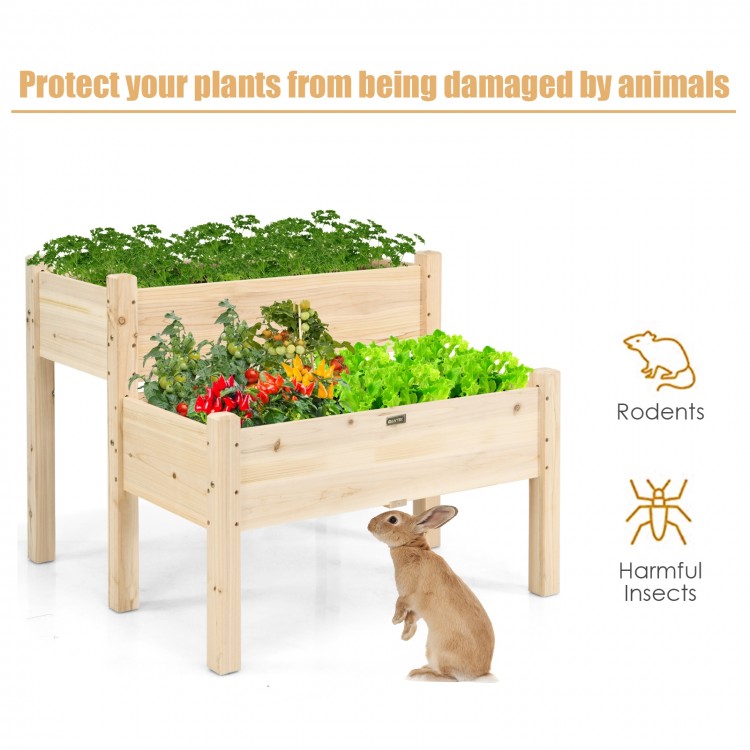 2 Tier Wooden Elevated Planter Box made of fir wood with drainage holes, ideal for growing flowers and vegetables in.
