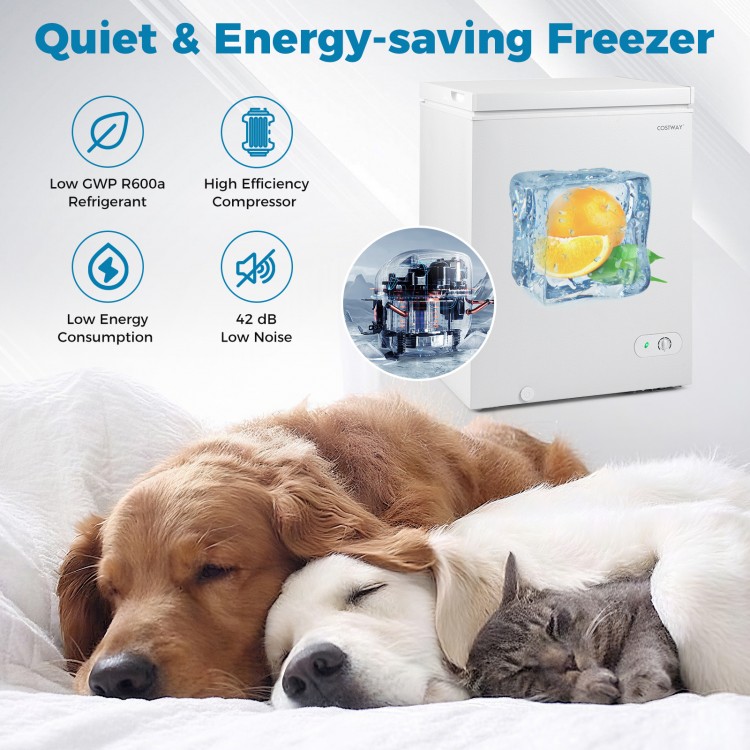 Compact 141 L chest freezer in white with 7-level adjustable temperature, ideal for kitchens, garages, or dorms.