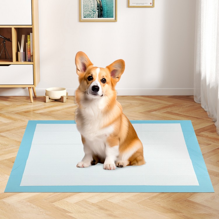 Corgi sitting on a 24 x 36 inch pet wee pee pad, made of soft non-woven fabric for effective training and cleanliness.