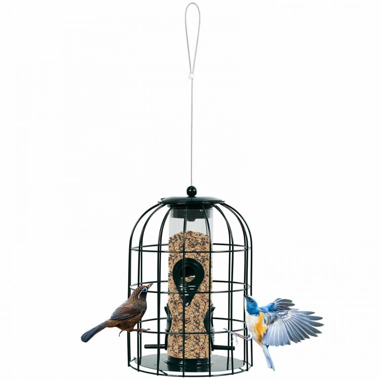 Caged tube wild bird feeder with metal seed guard, featuring four feeding ports for small birds, ideal for outdoor use.