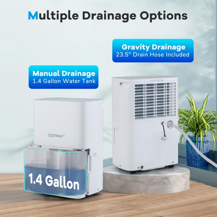 65 Pints dehumidifier with 1.4-gallon tank and drainage options, featuring LED display and compact design for easy.