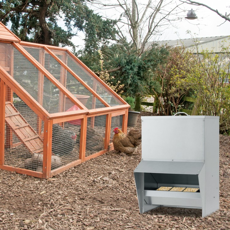 Wall mount galvanized chicken feeder with 50 lbs capacity, designed for easy refilling and reduced food wastage.