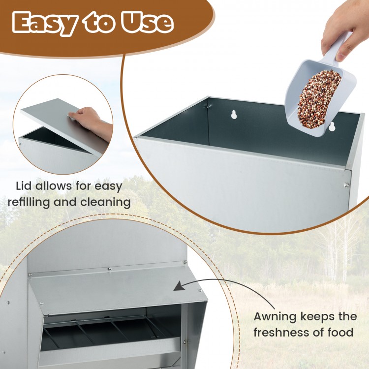 Wall mount galvanized chicken feeder with openable lid, 50 lbs capacity, and awning for food freshness. Ideal for.