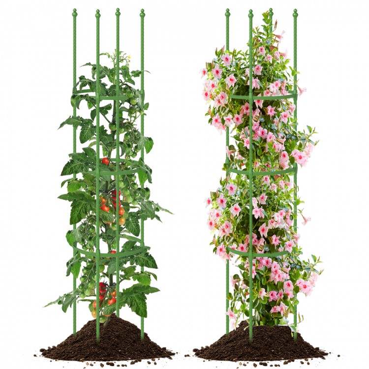 Two garden trellises showcasing adjustable height for supporting tomato plants and climbing flowers, made of durable.