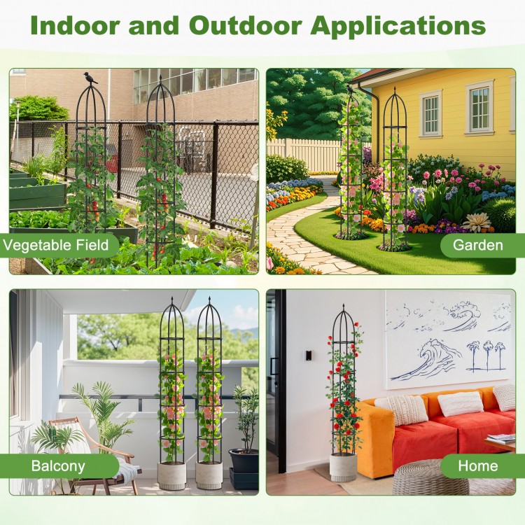 Two black garden obelisk trellises for climbing plants, featuring sturdy metal construction and decorative heads for.