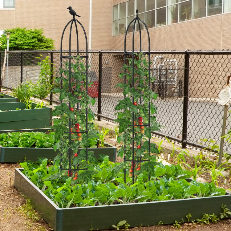 Two black garden obelisk trellises supporting climbing plants, ideal for vegetables and flowers, in a raised garden bed.