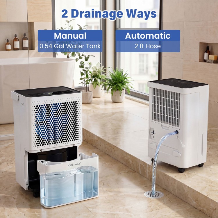 2000 sq.ft 32 pint compressor dehumidifier with manual tank and automatic drainage hose, ideal for home use.