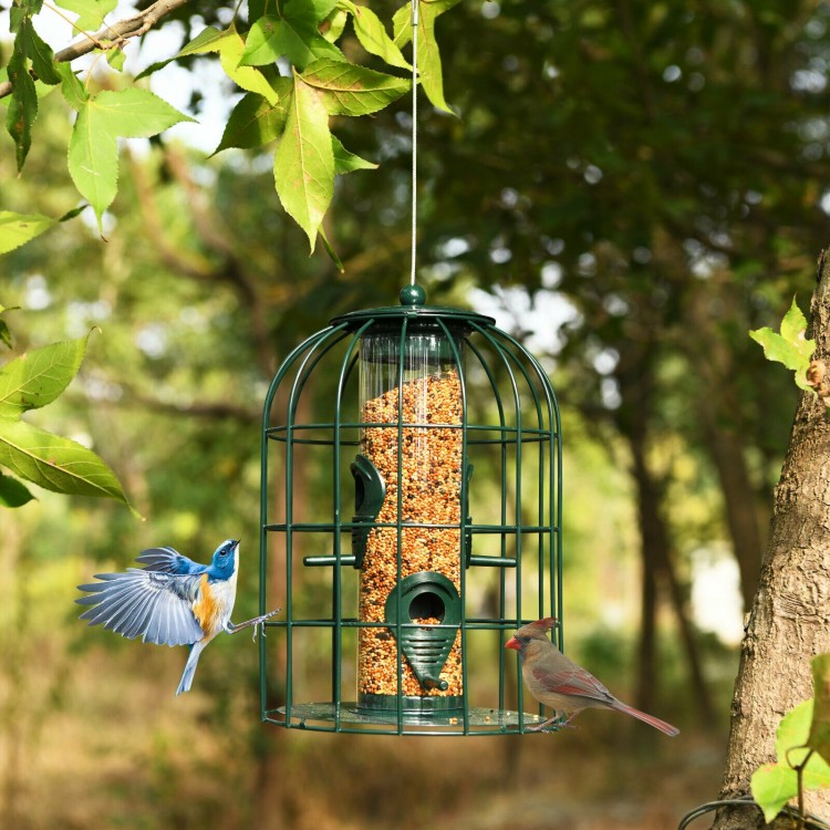 Caged tube wild bird feeder made of premium iron with four feeding ports, designed to deter squirrels for outdoor use.