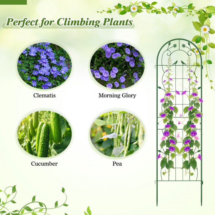 Metal garden trellis for climbing plants, 71 x 20 inches, rustproof green design with floral pattern, ideal for.
