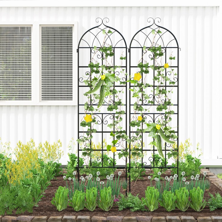 Metal garden trellis set for climbing plants, 71" x 20", sturdy and rustproof, ideal for gardens and patios.