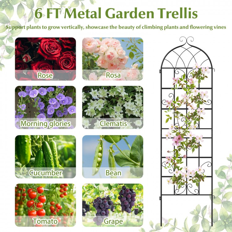 Metal garden trellis for climbing plants, 71" x 20", sturdy powder-coated design, ideal for patios and gardens.