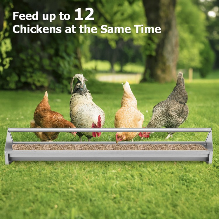 Metal chicken feeder for up to 12 chickens, featuring drainage holes and elevated legs for easy feeding and cleanliness.