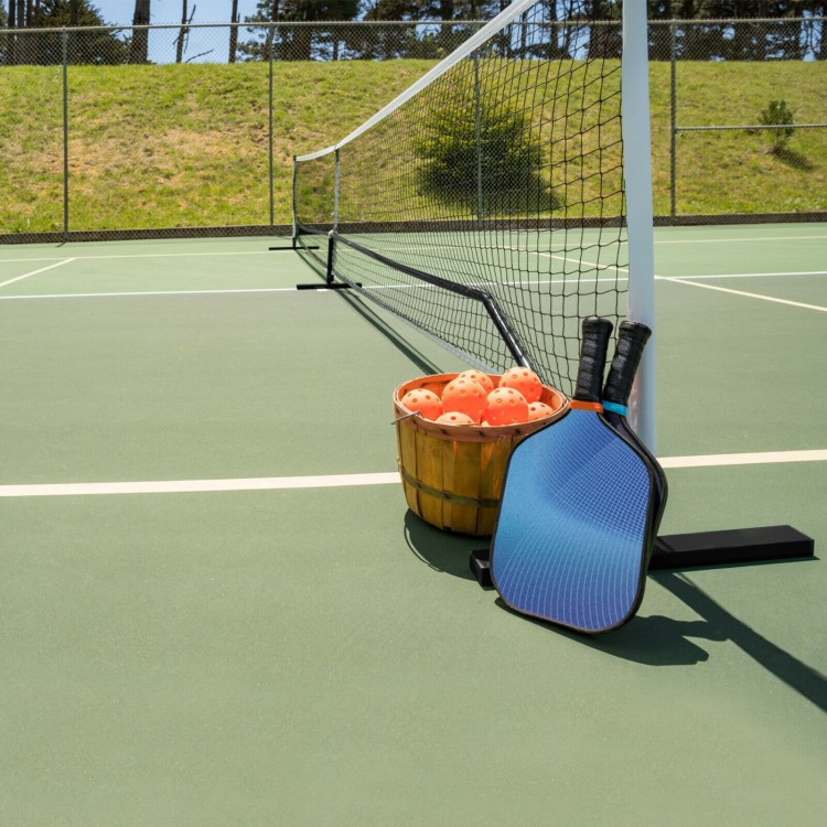 Portable 22-foot pickleball net set with a sturdy steel frame and carrying bag, ideal for indoor and outdoor games.