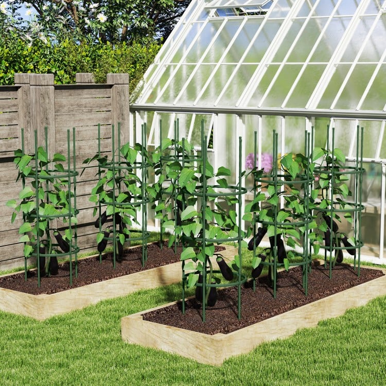 Adjustable 60-inch plant support trellis for climbing plants, featuring sturdy metal pipes and optimal support design.