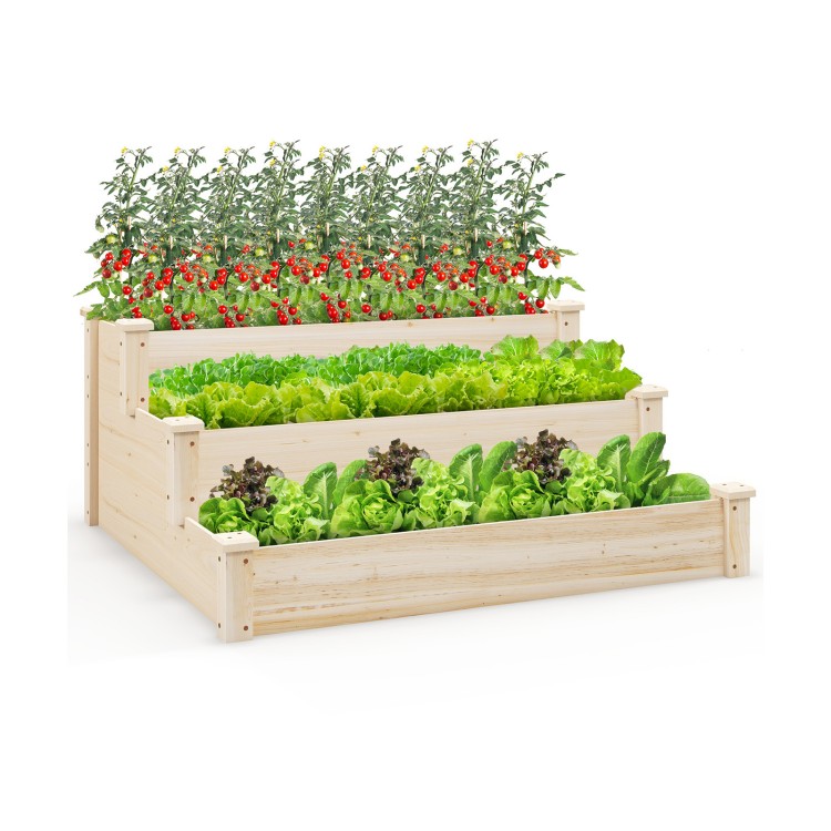 Three-tier elevated wooden vegetable garden bed made of durable fir wood, ideal for growing various plants and.