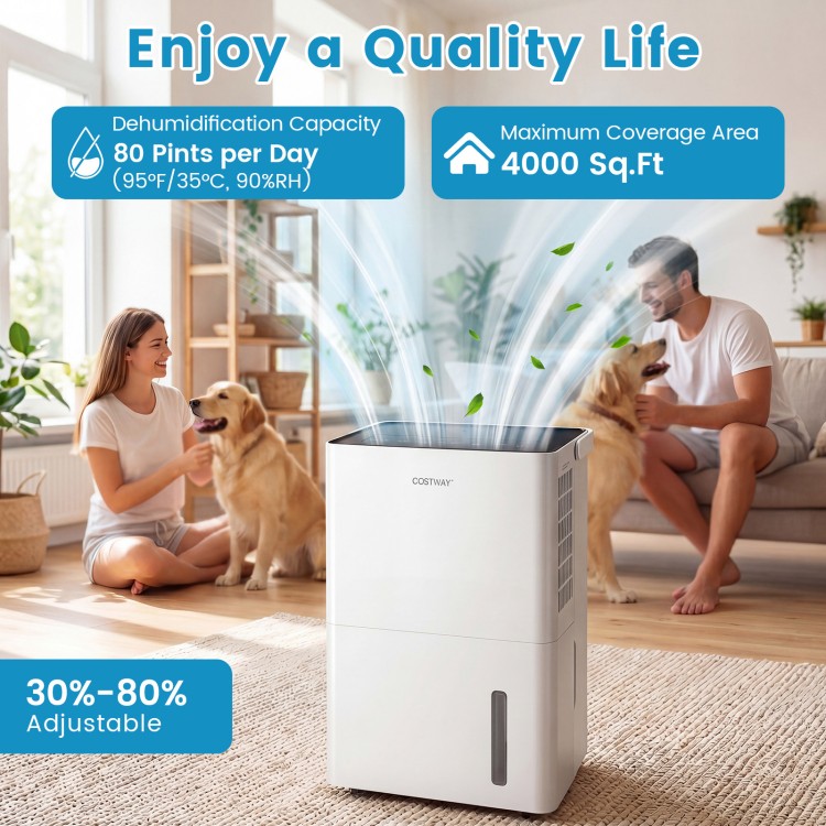 4000 Sq.Ft 80 Pint dehumidifier with adjustable humidity settings, ideal for bedrooms and basements, featuring a child lock.